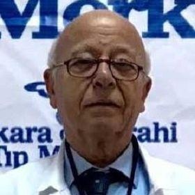 Nahas Hikmet Keskineğe