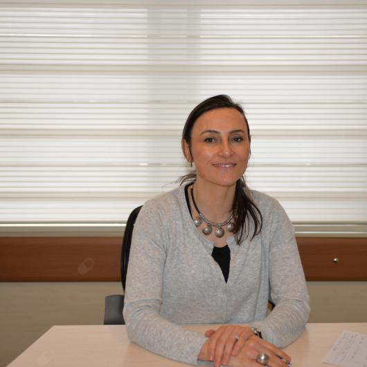 Aysun Baltacı