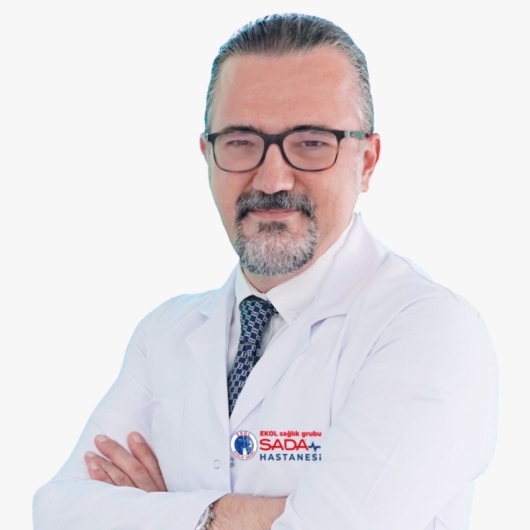 Halil Gürsoy Pala