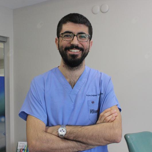 Dr. Öğr. Üyesi Çağdaş Çağlar Laçin