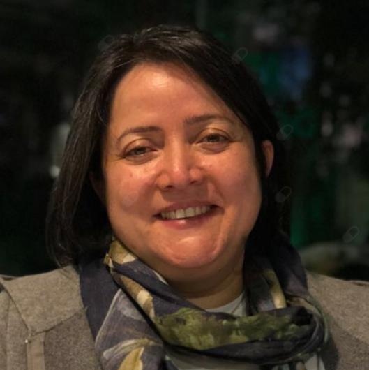 Ayşe Figen Türkçapar