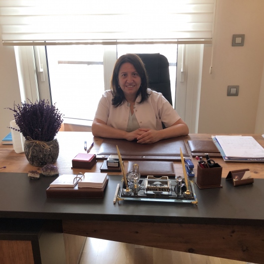 Güldeniz Desteli