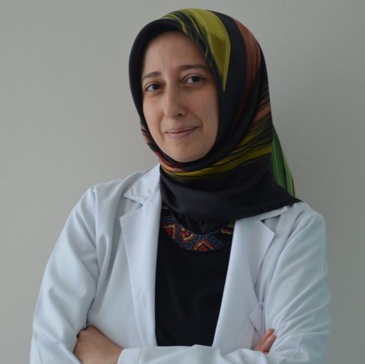 Ayşe İlknur Çelik