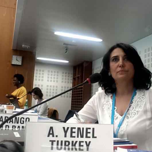 Aynil Yenel