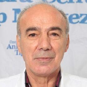 Şefik Şahin