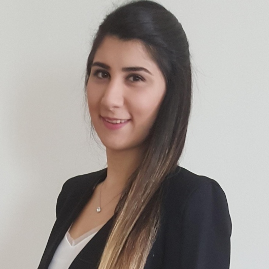 Fzt. Dicle Çam