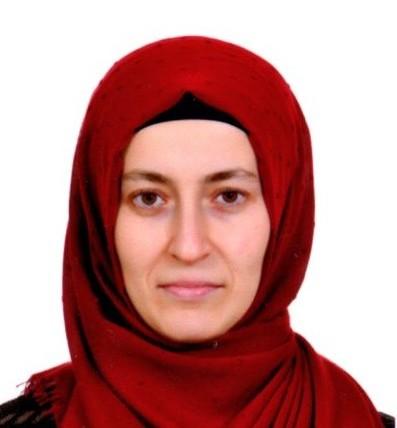 Hatice Kübra KARACA