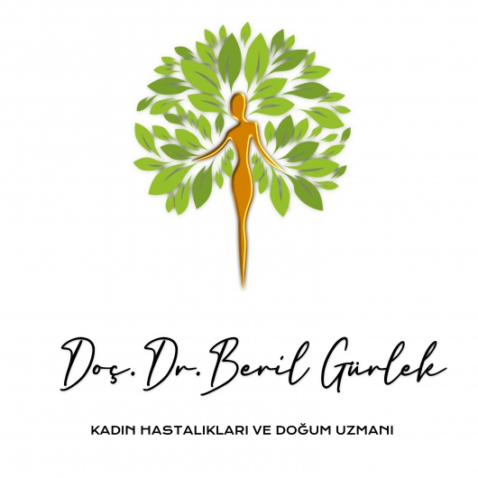 Dr. Öğr. Üyesi Beril Gürlek