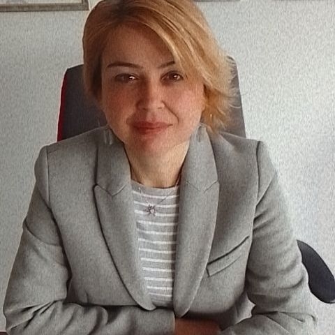Pervin Erdem